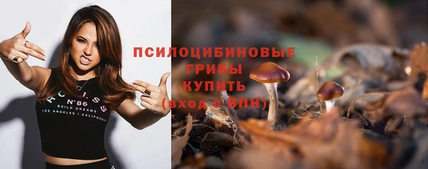 соль ск Алзамай
