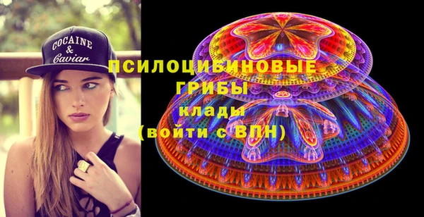 apvp Алексин