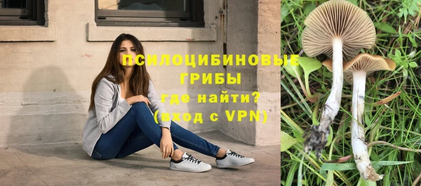 дживик Абаза