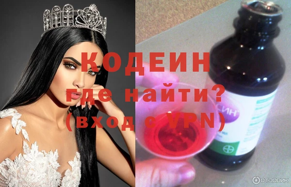 дживик Абаза