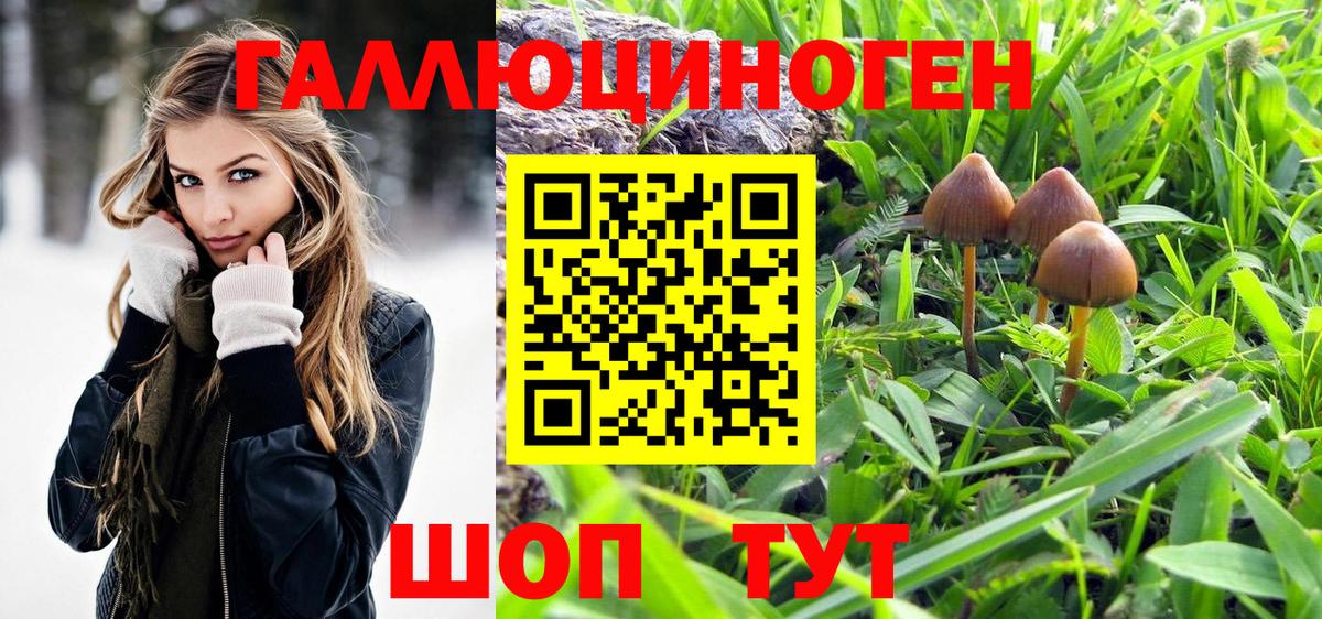 Псилоцибиновые грибы прущие грибы  Вход с VPN  Галлюциногенные грибы Psilocybe  как найти закладки  Старая Купавна 